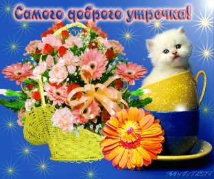 Открытки с добрым утром Открытка с пожеланиями доброго утра на каждый день скачать бесплатно 