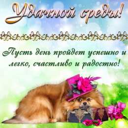 Открытки на среду Открытки с пожеланиями отличной среды. Красивые открытки на среду.