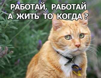 Открытки Открытки на вторник Позитивные открытки на вторник. Картинки про вторник скачать бесплатно. Прикольные открытки на тему сегодня вторник. Открытки с приколами на тему вторник. Мерцающие открытки счастливого вторника. Картинки с пожеланиями легкого вторника. 