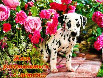 Открытки с последним днем лета Открытки с последним днем лета скачать бесплатно. Открытки прощай лето.