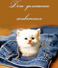 Открытки на Всемирный день домашних животных Добрые открытки на Всемирный день домашних животных скачать бесплатно.