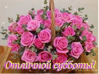 Открытки на субботу Интересные открытки на субботу. Веселые открытки на выходные.