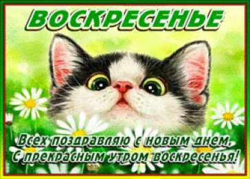 Открытки на воскресенье Мерцающие открытки про воскресенье. Открытки на воскресное утро.