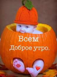 Открытки Открытки с добрым утром Открытка с пожеланиями доброго утра на каждый день скачать бесплатно  Открытки доброе утро скачать бесплатно. Анимационные картинки с пожеланиями удачного утра. Хорошего начала дня открытки gif. Открытки для вотсапа с добрым утром. Открытка с пожеланиями доброго утра на каждый день.