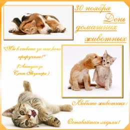 Открытки на Всемирный день домашних животных Добрые открытки на Всемирный день домашних животных скачать бесплатно.