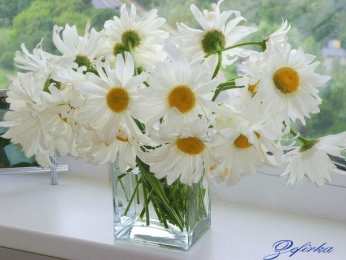 Открытки с цветами Открытки с цветами на день рождения. Картинки с букетом цветов. 