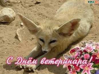 Открытки с днем ветеринара Поздравительные открытки с днем ветеринара скачать бесплатно.