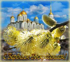 Открытки с Вербным Воскресеньем Поздравительные открытки с Вербным Воскресеньем скачать бесплатно.