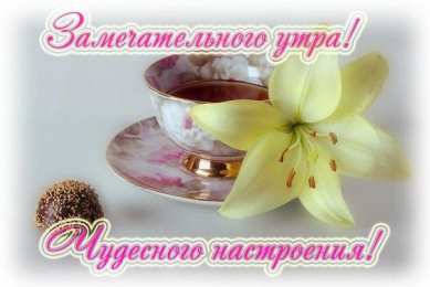 Открытки Открытки с добрым утром Открытка с пожеланиями доброго утра на каждый день скачать бесплатно  Открытки доброе утро скачать бесплатно. Анимационные картинки с пожеланиями удачного утра. Хорошего начала дня открытки gif. Открытки для вотсапа с добрым утром. Открытка с пожеланиями доброго утра на каждый день.