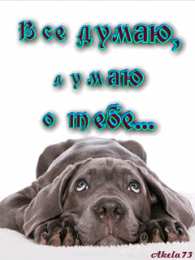 Открытки думаю о тебе Анимационные открытки с признаниями. Открытки думаю о тебе gif.