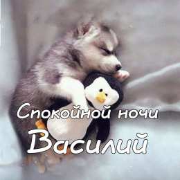 Открытки с именем Василий Анимационные открытки с именем Василий. Открытки с днём рождения Вася.