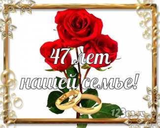 Открытки на Кашемировую/Шерстяную свадьбу 47 лет Открытки на Кашемировую/Шерстяную свадьбу 47 лет скачать бесплатно.