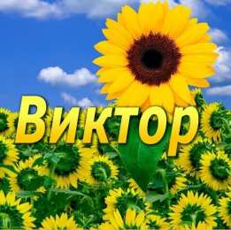Открытки с именем Виктор Скачать открытки с именем Витя. Открытки с днём рождения Виктору.