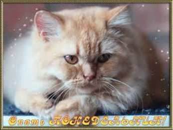 Открытки на понедельник Открытки с пожеланиями легкого понедельника скачать бесплатно.