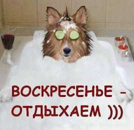 Открытки на воскресенье Мерцающие открытки про воскресенье. Открытки на воскресное утро.