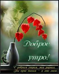 Открытки с добрым утром Открытка с пожеланиями доброго утра на каждый день скачать бесплатно 