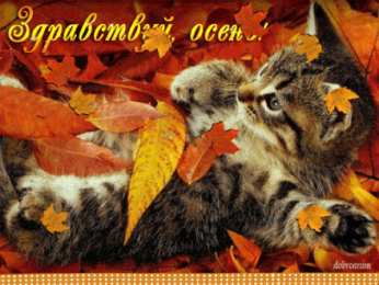  Открытки с первым днем осени