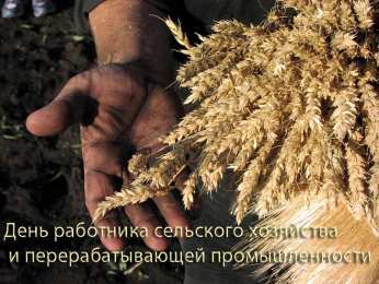  Открытки на день работников сельского хозяйства и перерабатывающей промышленности