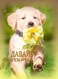  Открытки давай дружить