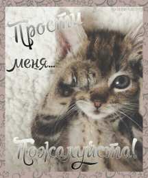  Открытки с извинениями