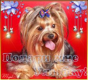  Открытки улыбнись