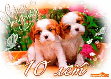  Открытки на 10 лет
