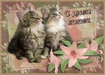  Открытки с днем кошек